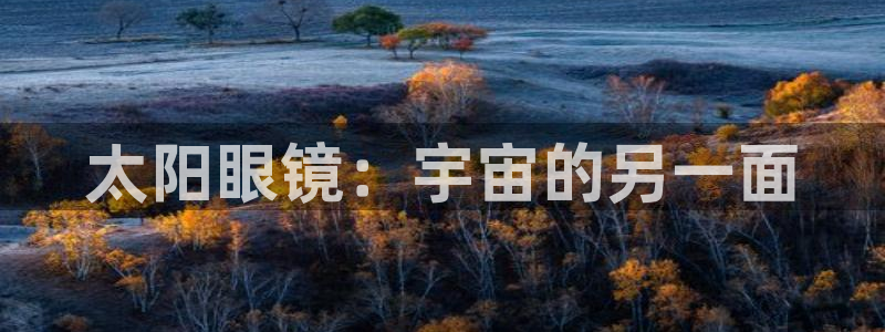 jdb电子平台台湾黑熊