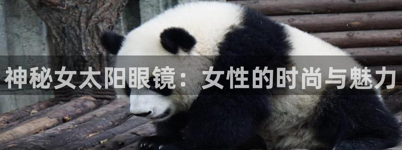 JDB电子王牌