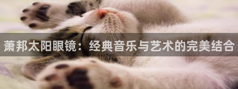 jdb电子金刚大奖视频