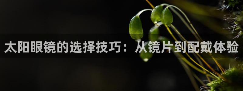 jdb开运夺宝爆分视频