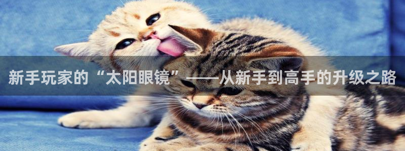 jdb电子游戏平台3.8.2.2.2.3主管刀
