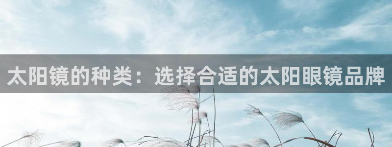 jdb电子维护到什么时候