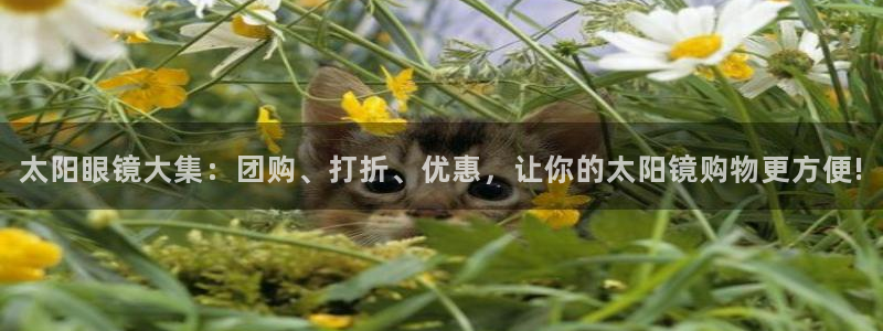 jdb电子飞鸟派对游戏爆大奖图片
