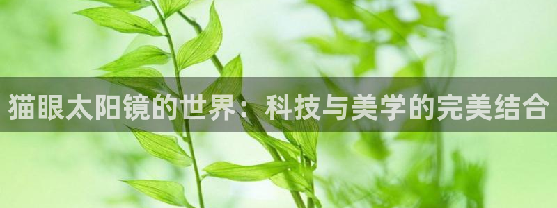jdb开运夺宝攻略