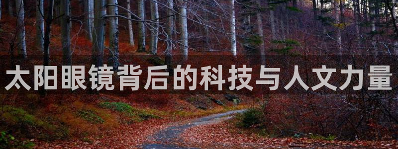 jdb电子游戏官方吴cf66,vip