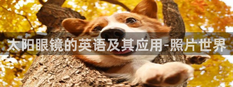 jdb电子平台大奖图片