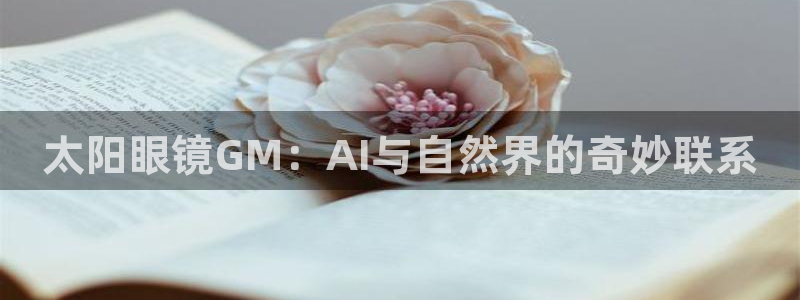 jdb电子游戏源码