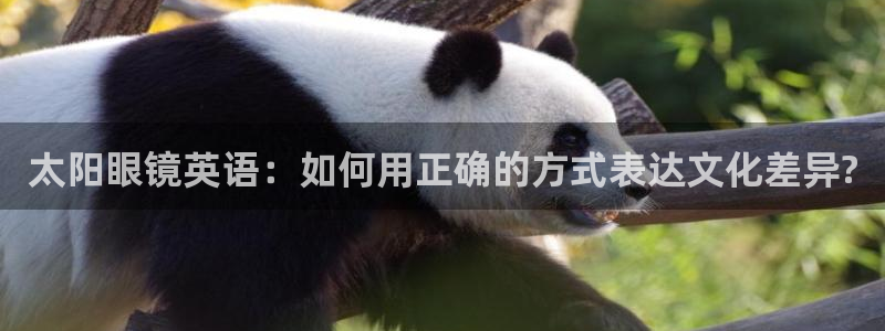 JDB电子游戏哪个容易赢